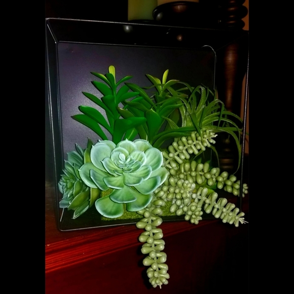 Succulent Floating Cube Shelf Wall Decor - Picture 7 of 8
